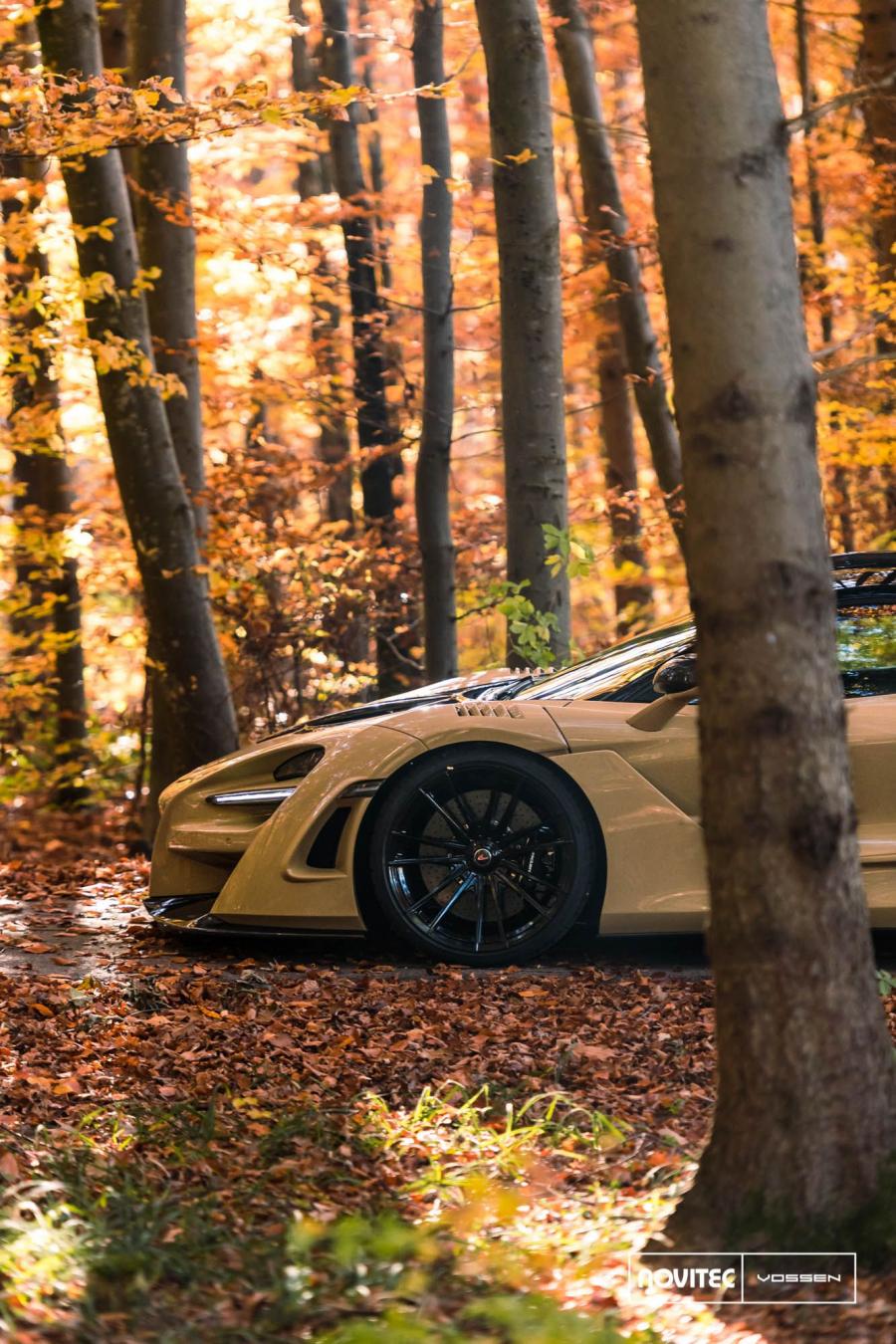  McLaren 720S N-Largo by Novitec Rosso on Vossen Wheels (MC2) 2018 года  (фото 62 из 72)